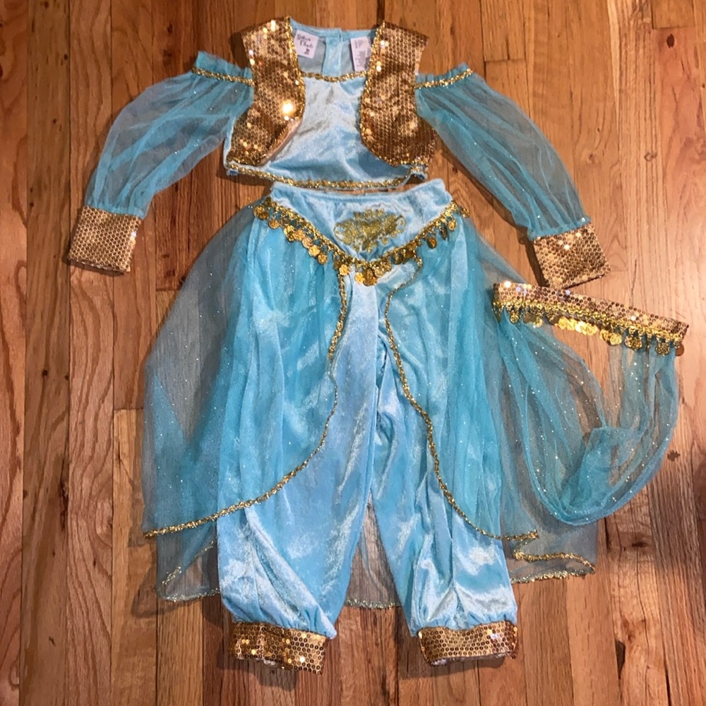 Jasmine Costume